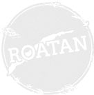 roatan grey icon